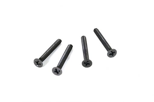 02090 TPE 3x25mm FH Screw