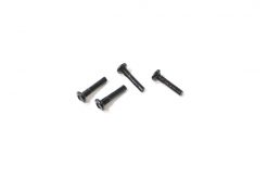 0241 WL Toys Pan Head Screws( M3X13PM)