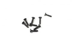 0255 WL Toys Pan Head Screws( M3X10)