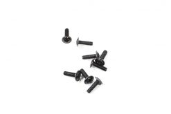 0255 WL Toys Pan Head Screws( M3X10)