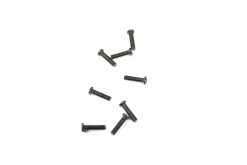 0256 WL Toys Pan Head Screws( M3X12)