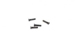 0274 WL Toys Pan head screws( M3X10)