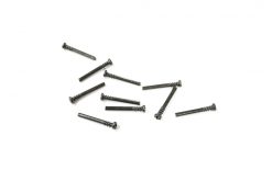 0917 WL Toys Round Head self tapping screws (M2x19)