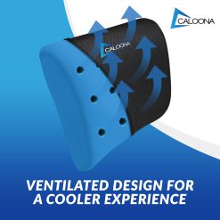 CALOONA Gel Infused Memory Foam Back Cushion